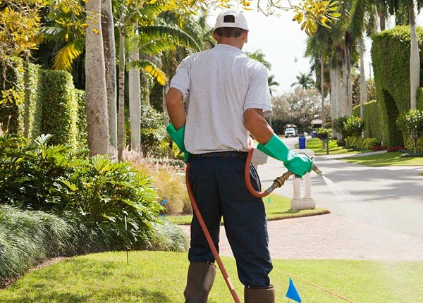 About Uvalde TX Pest Control
